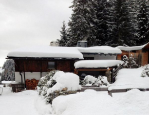 Ferienhaus Tirol, Ochsengarten, Österreich